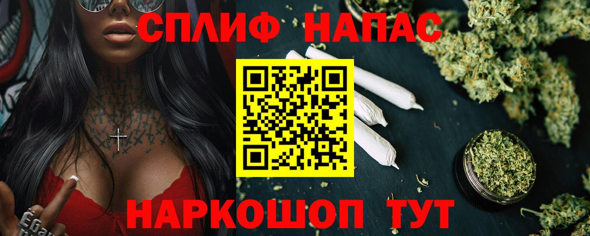 Конопля конопля Алексеевка